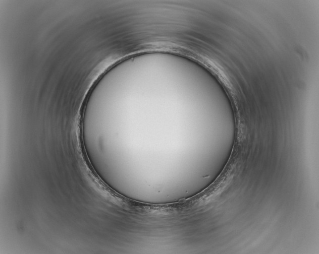 X0000110900899200907021535