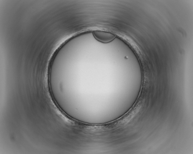 X0000110900902200907021535