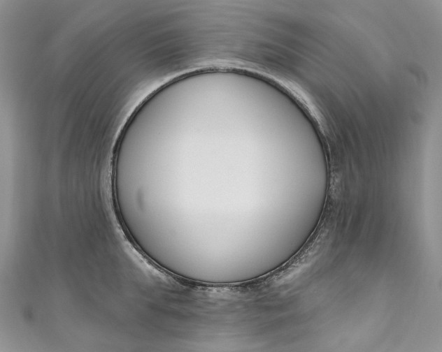 X0000110900903200907021535
