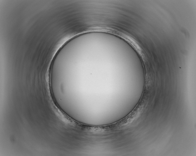 X0000110900907200907021535