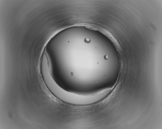 X0000110900908200907021535