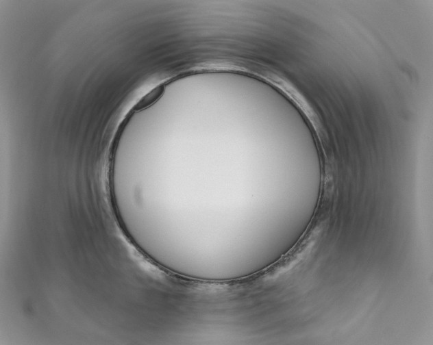 X0000110900909200907021535