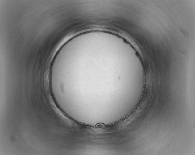 X0000110900911200907021535