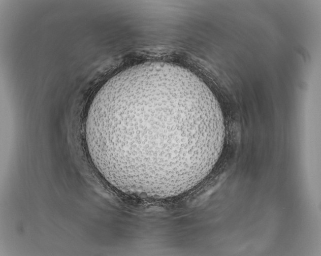 X0000110900913200907021534