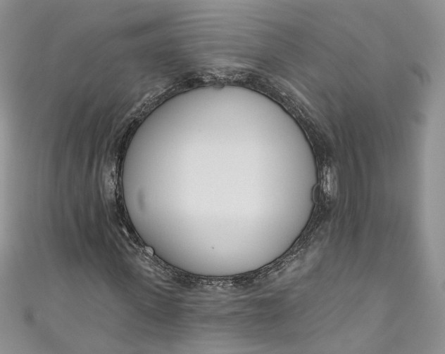 X0000110900915200907021534