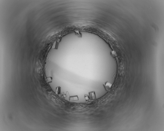 X0000110900917200907021534
