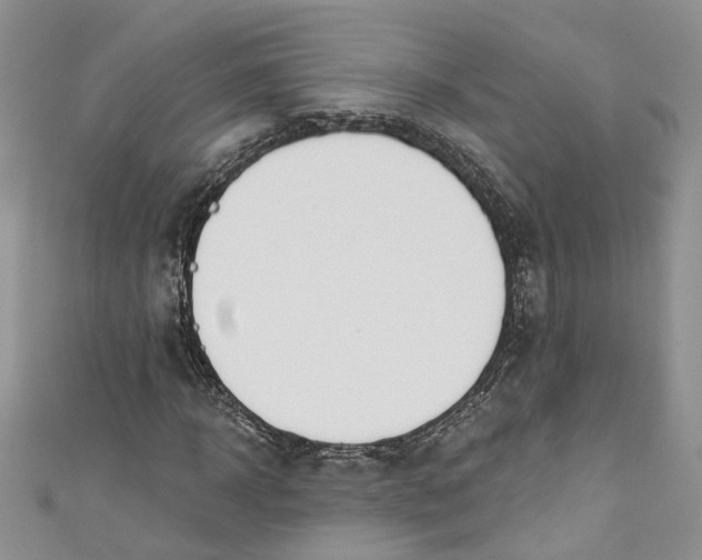 X0000110900918200907021534