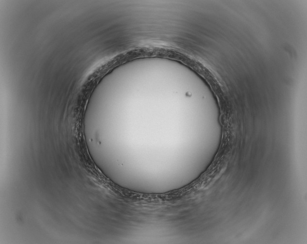X0000110900919200907021534