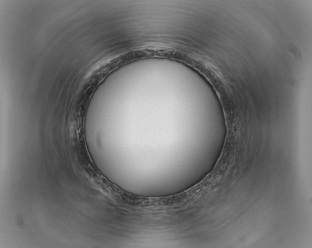 X0000110900920200907021534