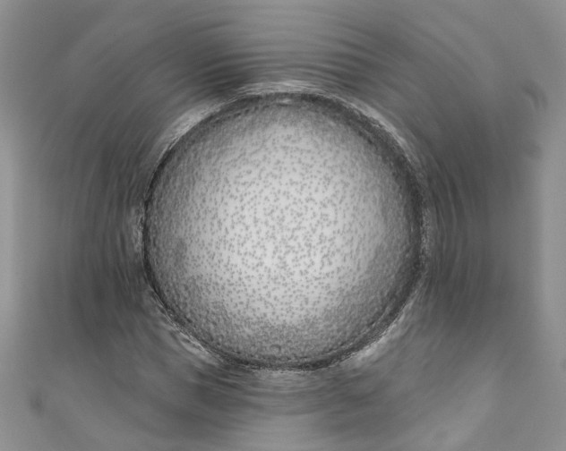 X0000110900921200907021534