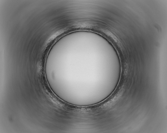 X0000110900922200907021534