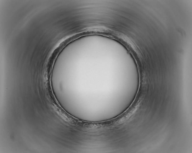 X0000110900923200907021534
