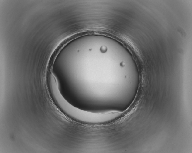 X0000110900924200907021534