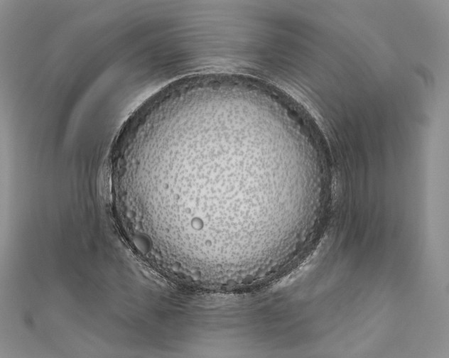 X0000110900925200907021534