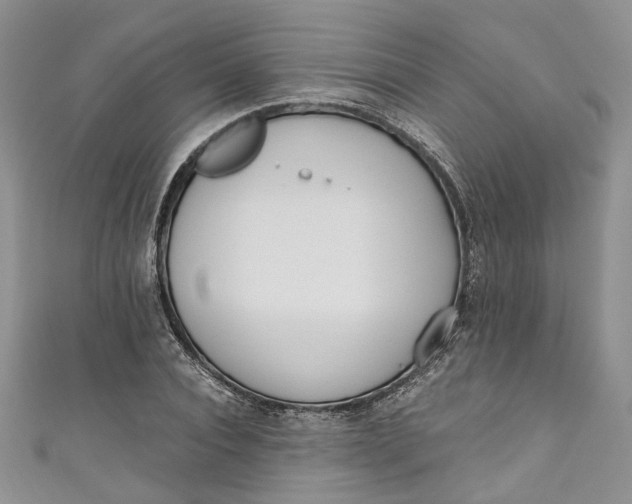 X0000110900928200907021534