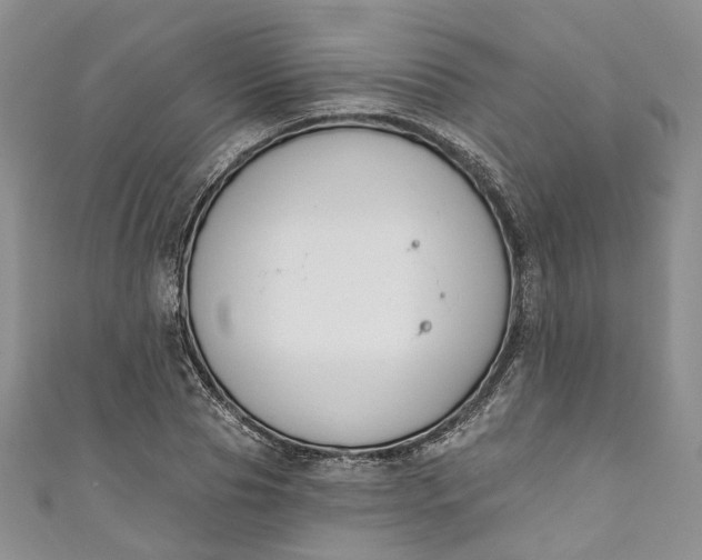 X0000110900929200907021534
