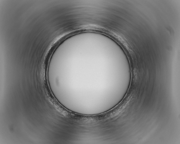 X0000110900931200907021534