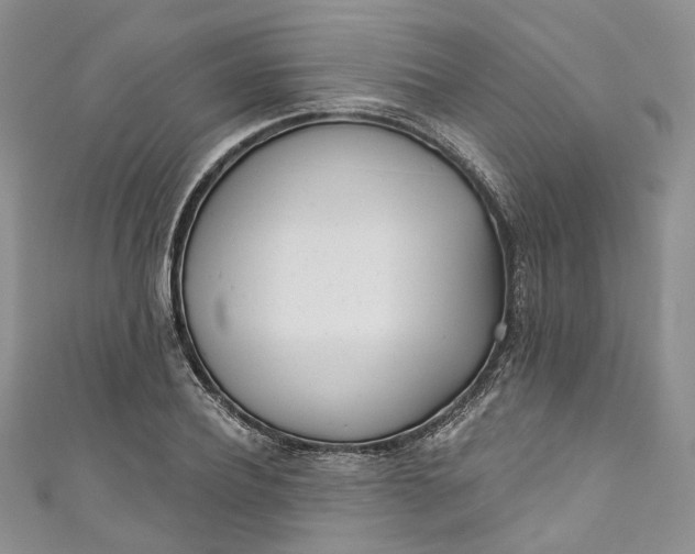X0000110900932200907021534