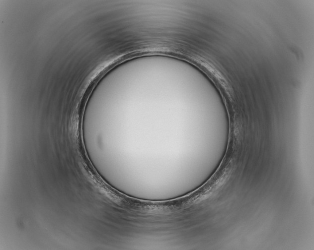 X0000110900933200907021534