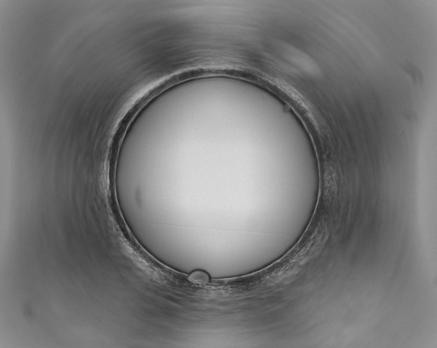 X0000110900935200907021534