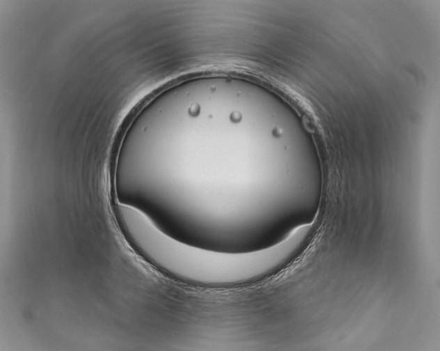 X0000110900936200907021534