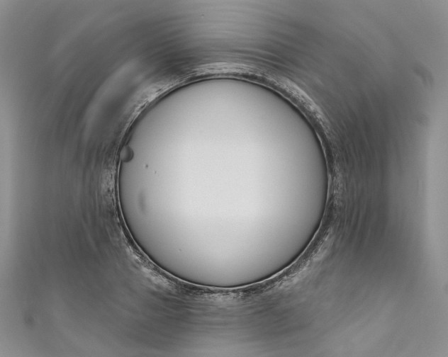 X0000110900937200907021534