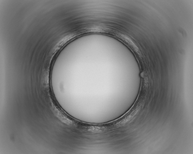 X0000110900938200907021534