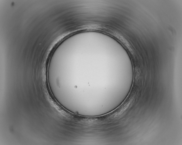 X0000110900939200907021534