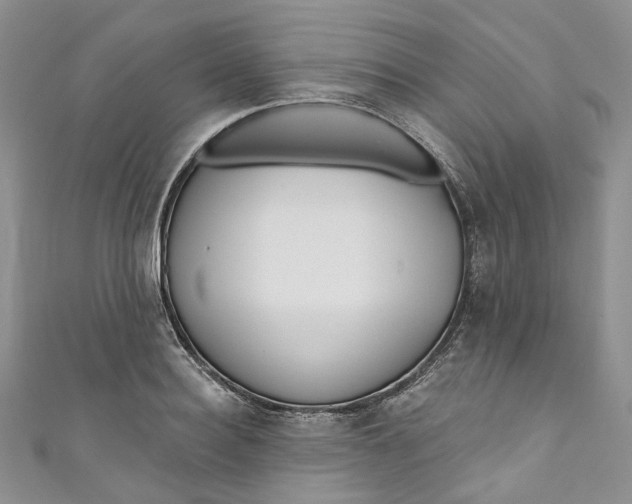 X0000110900940200907021534