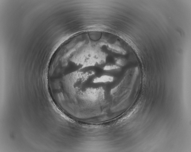 X0000110900941200907021534