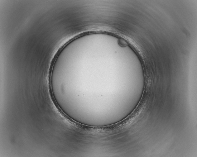 X0000110900943200907021534