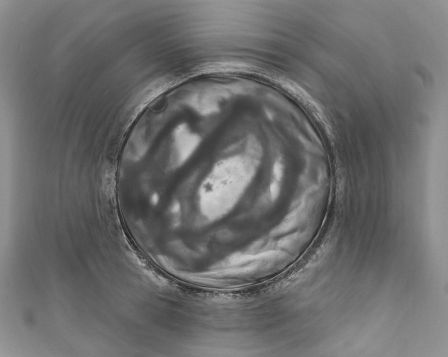 X0000110900945200907021534
