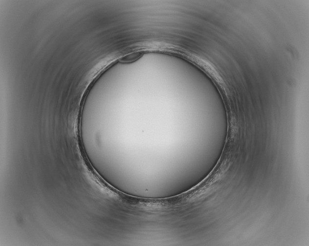 X0000110900946200907021534