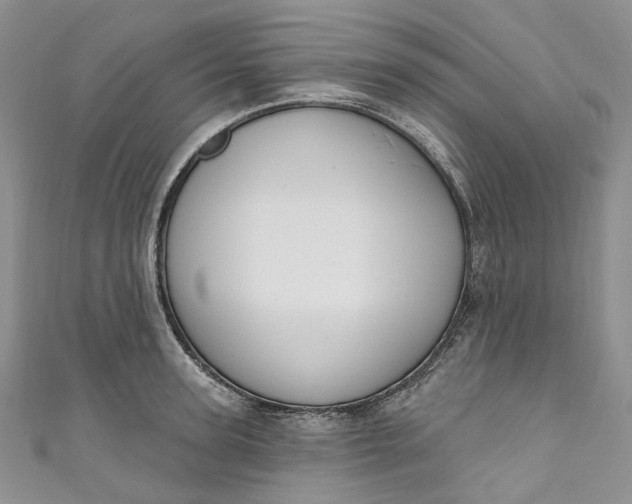 X0000110900947200907021534