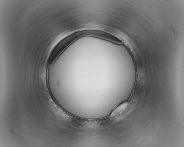 X0000110900952200907021535