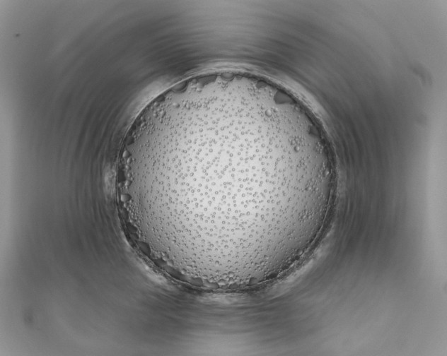 X0000110900953200907021535