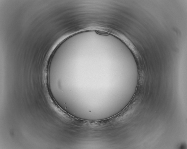 X0000110900955200907021535