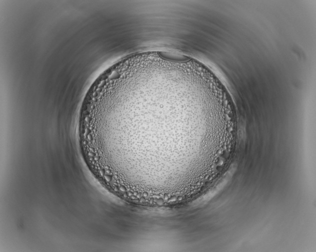 X0000110900957200907021535