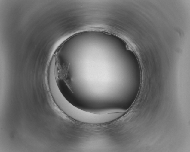 X0000110900960200907021535