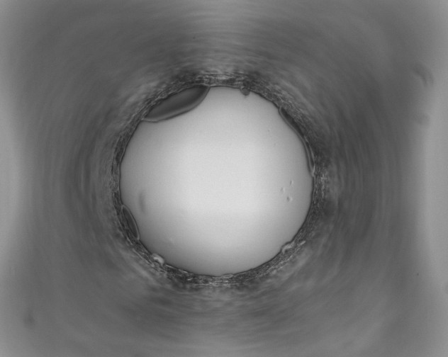 X0000110900961200907021534