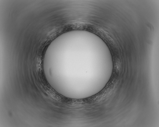 X0000110900964200907021534