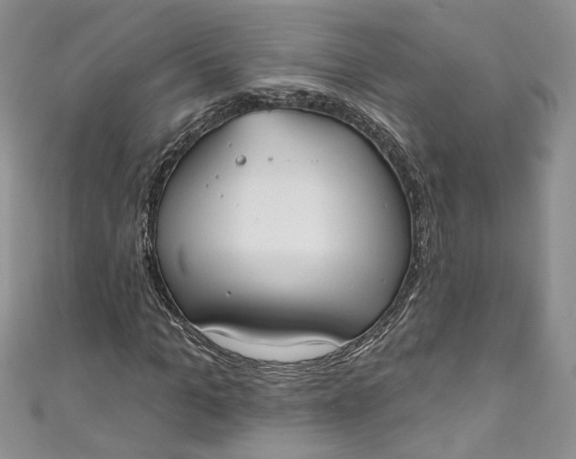 X0000110900965200907021534
