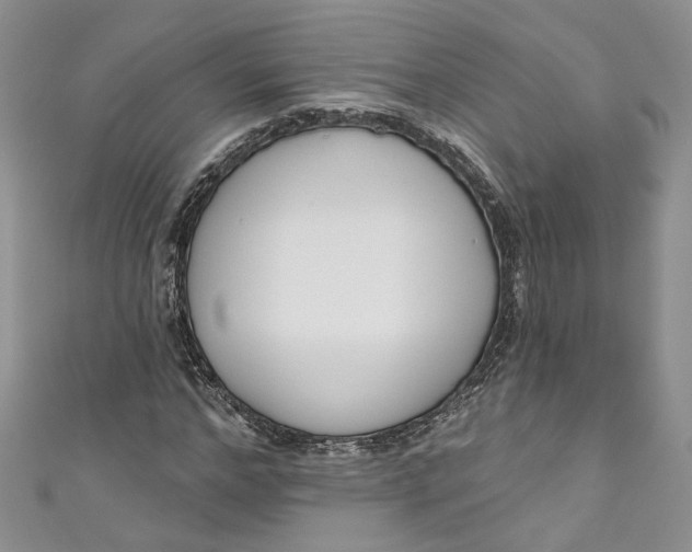 X0000110900968200907021534
