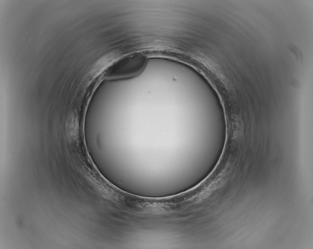 X0000110900969200907021534