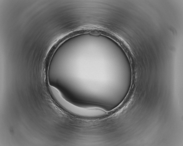 X0000110900973200907021534