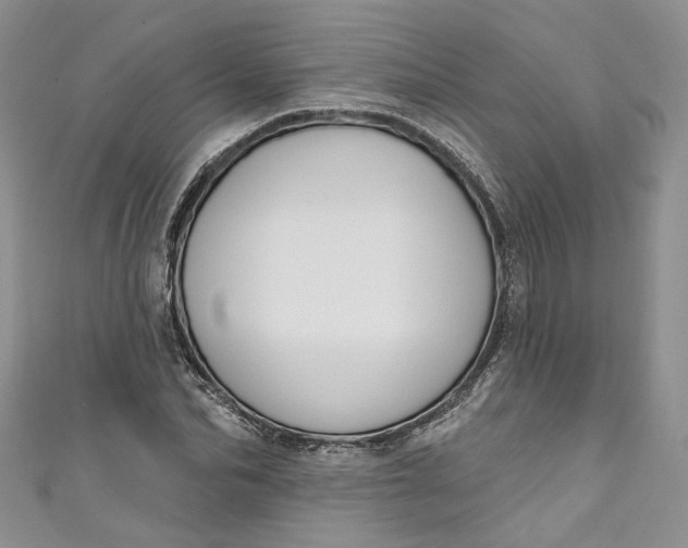 X0000110900974200907021534