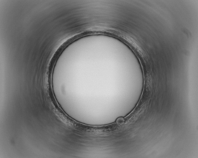 X0000110900976200907021534