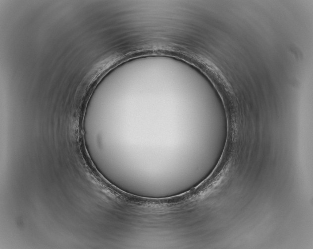 X0000110900977200907021534