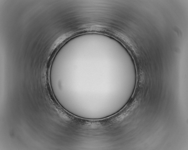 X0000110900978200907021534