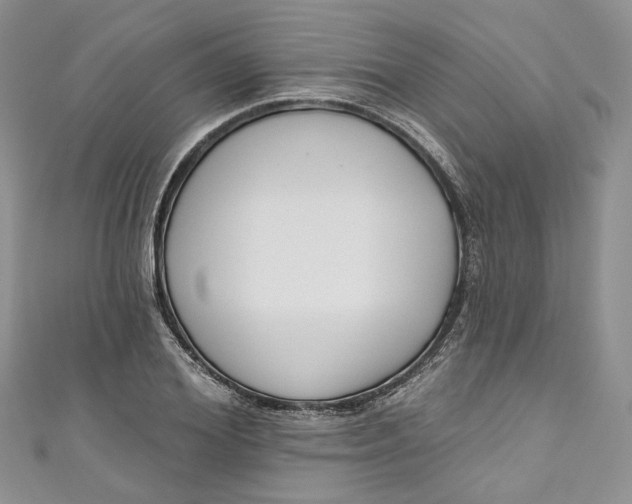 X0000110900980200907021534